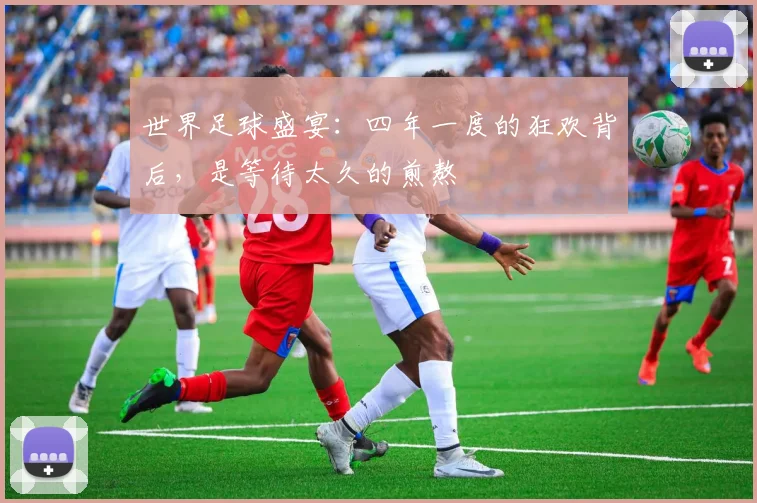 世界足球盛宴：四年一度的狂欢背后，是等待太久的煎熬